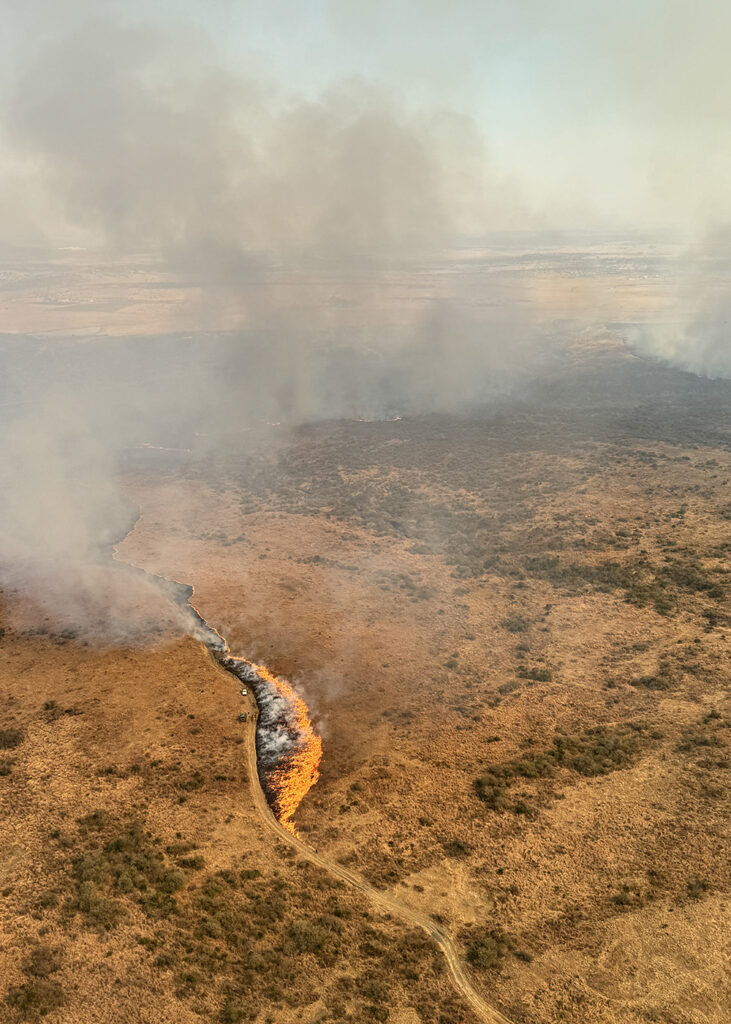 Fire Ecology | Nambiti Private Game Reserve, KwaZulu-Natal