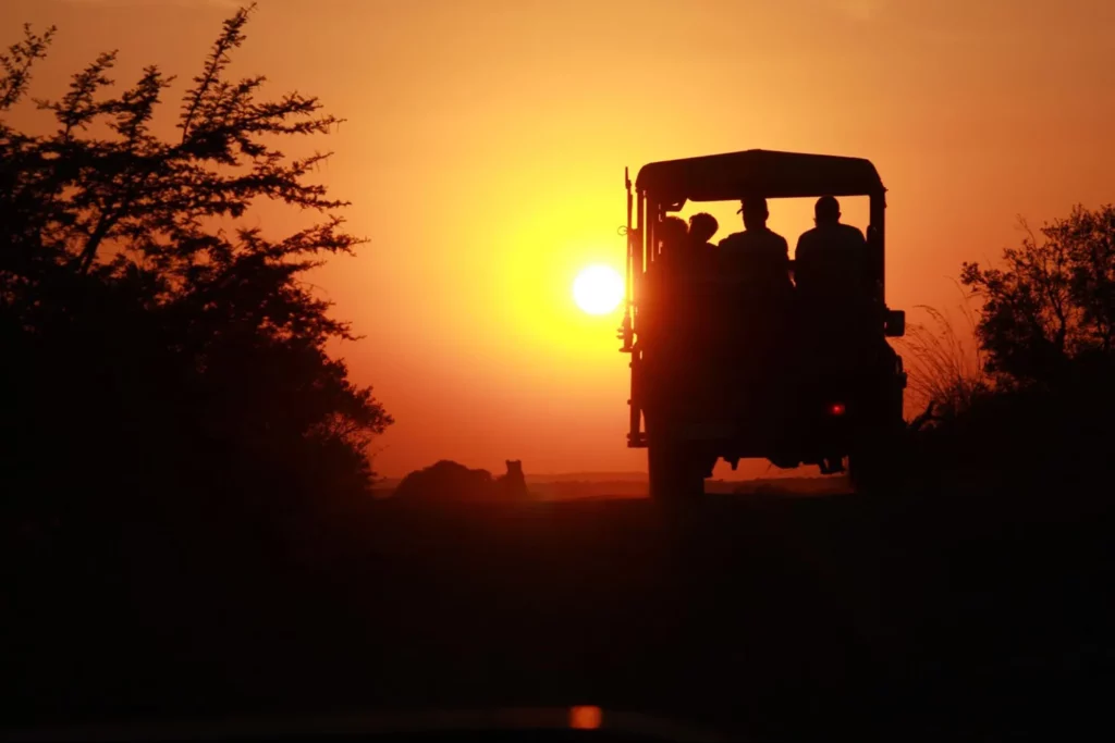 NBJan263 Why Nambiti Game Reserve Should Be Your Next Safari Destination | Nambiti Private Game Reserve, KwaZulu-Natal