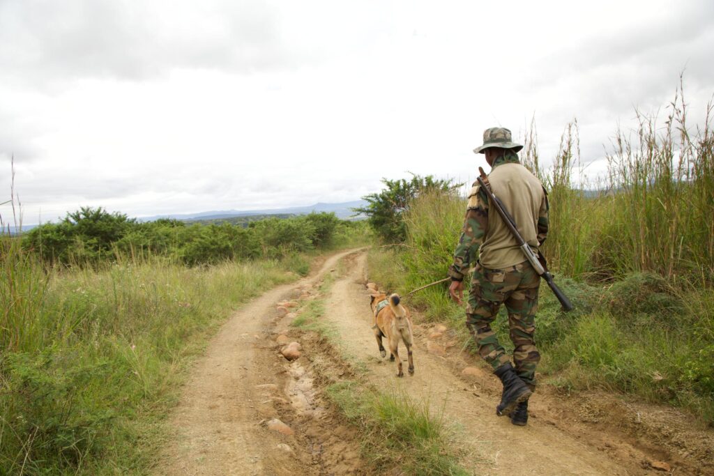 The Purpose of an Anti-Poaching Canine Unit: Protecting Wildlife | Nambiti Private Game Reserve, KwaZulu-Natal