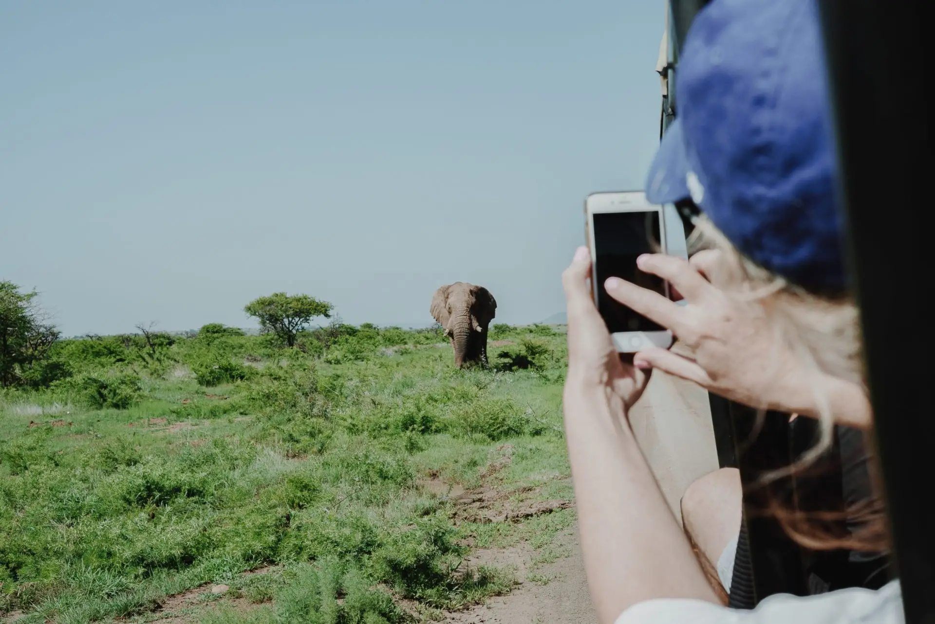 Wildlife sighting during a Nambiti game drive