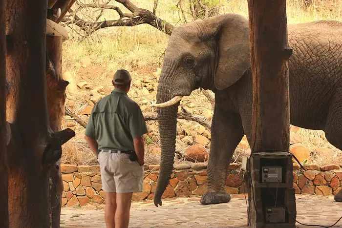 Nambiti lodge daily operations