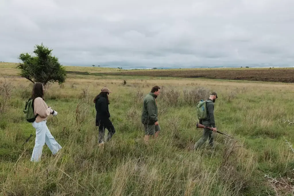 Walking safari at Nambiti